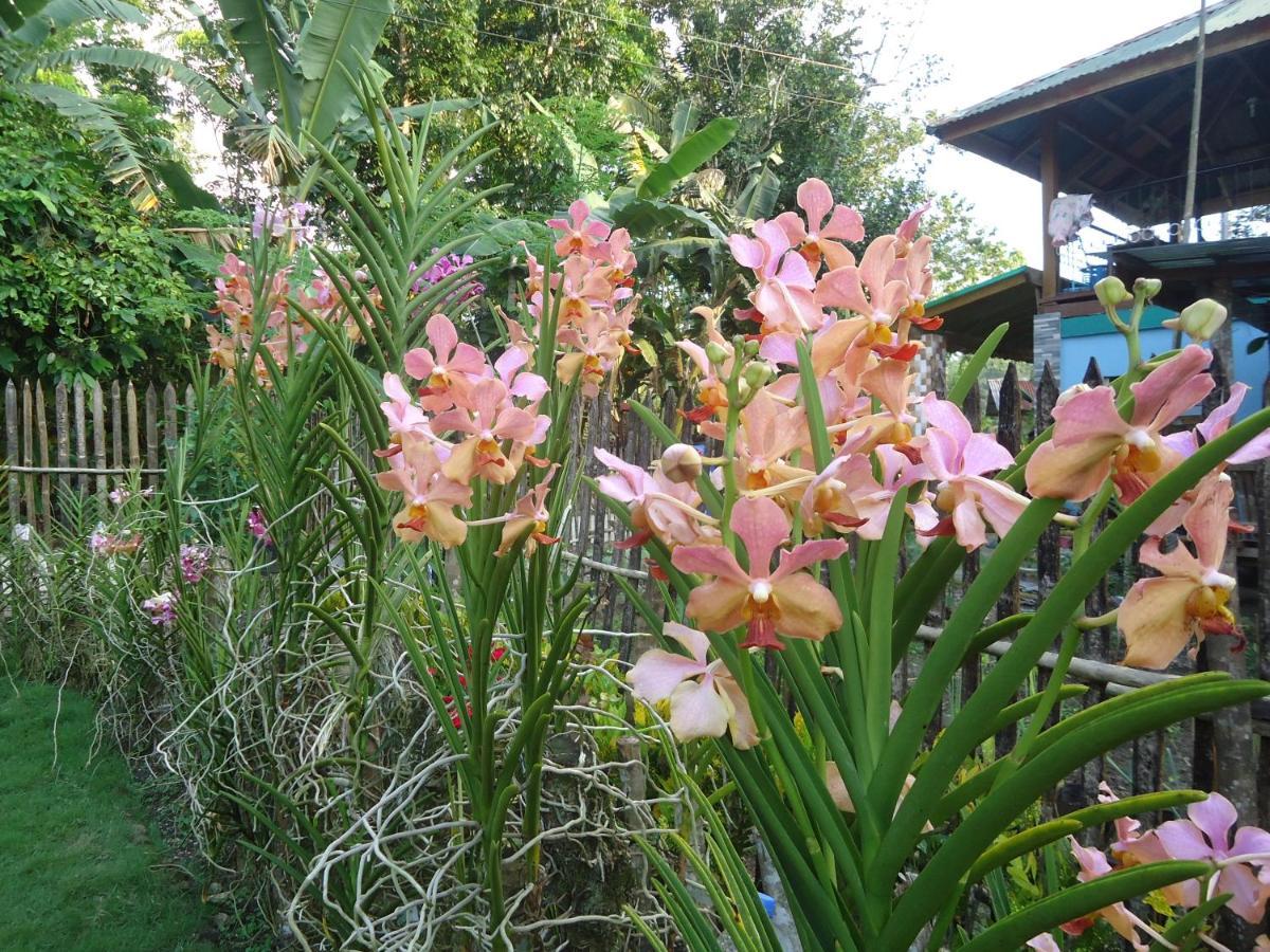 Lhoyjean Garden Hostel Batuan Bagian luar foto