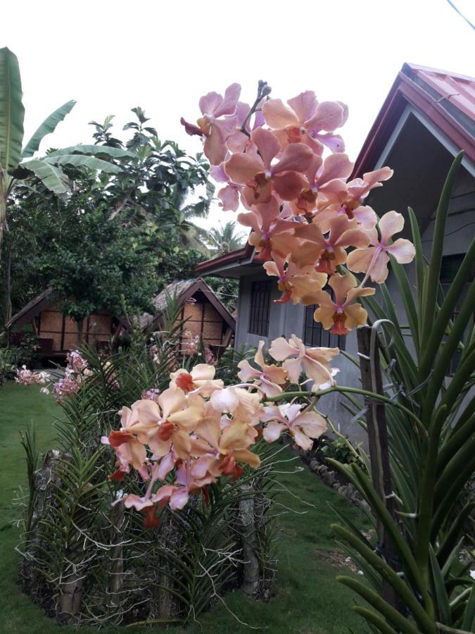 Lhoyjean Garden Hostel Batuan Bagian luar foto