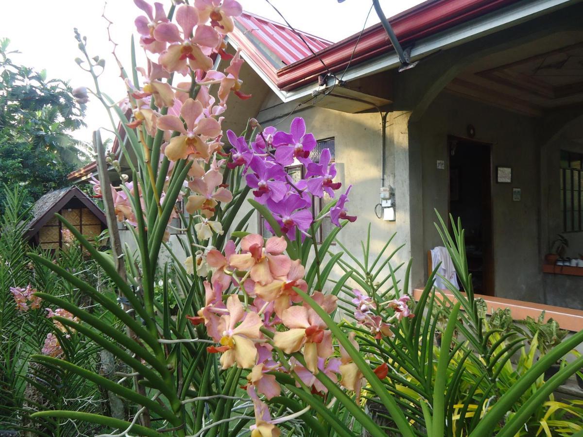 Lhoyjean Garden Hostel Batuan Bagian luar foto